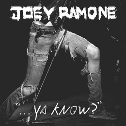 Image du média "YA KNOW? de Joey RAMONE"