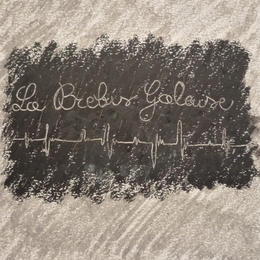 Image du média "LA BREBIS GALEUSE de Guillaume ABGRALL ET CHIARA TODARO"