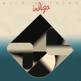 Image du média "INDIGO de WILD NOTHING"