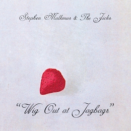 Image du média "WIG OUT AT JAGBAGS de Stephen MALKMUS AND THE JICKS"