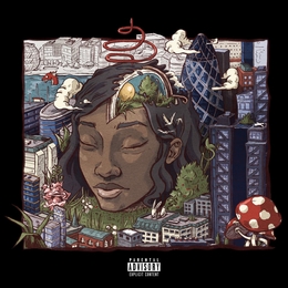 Image du média "STILLNESS IN  WONDERLAND de LITTLE SIMZ"