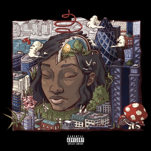 Couverture STILLNESS IN  WONDERLAND de LITTLE SIMZ