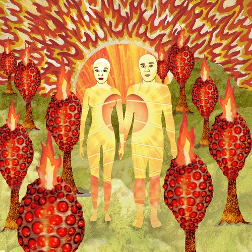 Couverture THE SUNLANDIC TWINS de OF MONTREAL