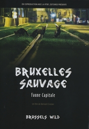 Image du média "BRUXELLES SAUVAGE. FAUNE CAPITALE de Bernard CRUTZEN"