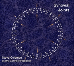 Image du média "SYNOVIAL JOINTS de Steve COLEMAN AND THE COUNCIL OF BALANCE"