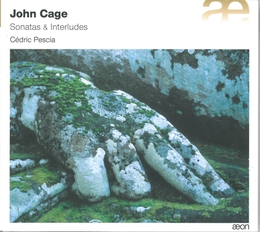 Image du média "SONATAS AND INTERLUDES de John CAGE"