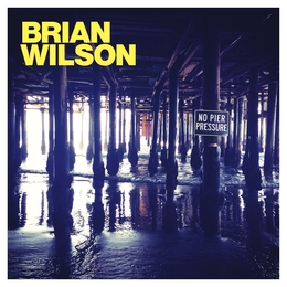 Image du média "NO PIER PRESSURE de Brian WILSON"