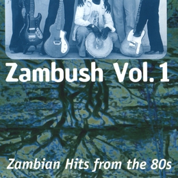 Image du média "ZAMBUSH VOL.1"