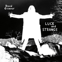 Image du média "LUCK AND STRANGE de David GILMOUR"