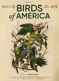 Image du média "BIRDS OF AMERICA de Jacques LOEUILLE"