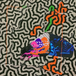 Image du média "TANGERINE REEF de ANIMAL COLLECTIVE"