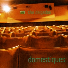 Image du média "DOMESTIQUES de THE DELGADOS"