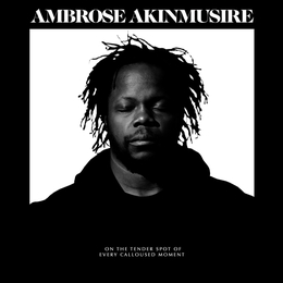 Image du média "ON THE TENDER SPOT OF EVERY CALLOUSED MOMENT de Ambrose AKINMUSIRE"