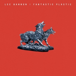 Image du média "FANTASTIC PLASTIC de Lee BANNON"