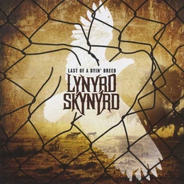 Image du média "LAST OF A DYIN' BREED de LYNYRD SKYNYRD"