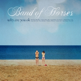 Image du média "WHY ARE YOU OK de BAND OF HORSES"