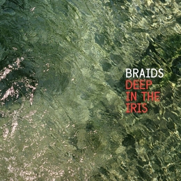 Image du média "DEEP IN THE IRIS de BRAIDS"