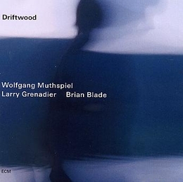 Image du média "DRIFTWOOD de Wolfgang MUTHSPIEL/GRENADIER/BLADE"