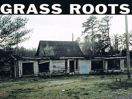 Image du média "GRASS ROOTS de Sean CONLY/HARDING/JONES/TAYLOR"