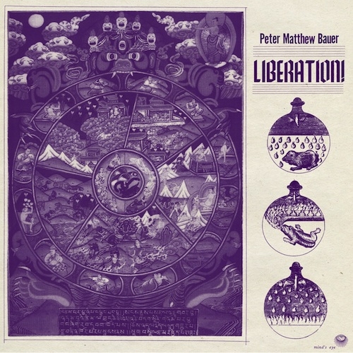 Couverture LIBERATION! de Peter Matthew BAUER