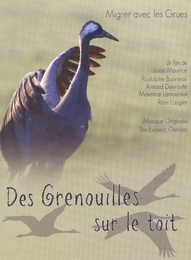 Image du média "DES GRENOUILLES SUR LE TOIT de Arnaud DEVROUTE"