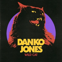 Image du média "WILD CAT de DANKO JONES"