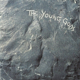 Image du média "YOUNG GODS (THE) (DELUXE EDITION) de THE YOUNG GODS"