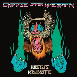 Image du média "CHOOSE YOU WEAPON de HIATUS KAIYOTE"