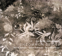 Image du média "UNCOMMON DEITIES de Jan BANG, ERIK HONORÉ & DAVID SYLVIAN"