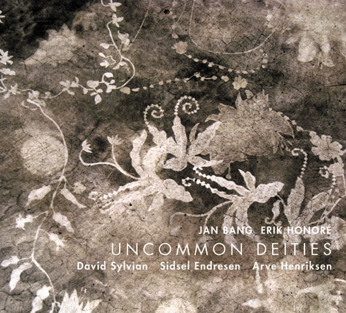 Couverture UNCOMMON DEITIES de Jan BANG, ERIK HONORÉ & DAVID SYLVIAN