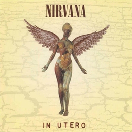 Image du média "IN UTERO (20TH ANNIVERSARY - SPECIAL EDITION) de NIRVANA"