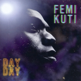 Image du média "DAY BY DAY de Femi KUTI"