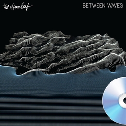 Image du média "BETWEEN WAVES de THE ALBUM LEAF"