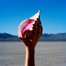 Image du média "WONDERFUL WONDERFUL de THE KILLERS (USA)"