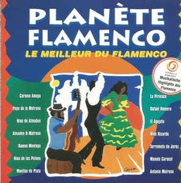 Image du média "PLANÈTE FLAMENCO"