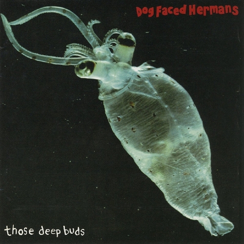 Couverture THOSE DEEP BUDS de DOG FACED HERMANS