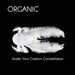 Image du média "UNDER YOUR CARBON CONSTELLATION de ORGANIC (BEL)"