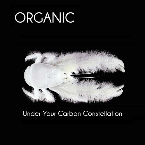 Couverture UNDER YOUR CARBON CONSTELLATION de ORGANIC (BEL)