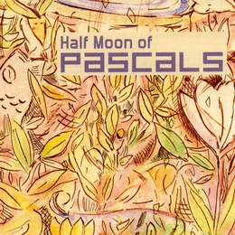 Image du média "HALF MOON OF PASCALS"