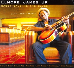 Image du média "DADDY GAVE ME THE BLUES de Elmore JAMES JR"