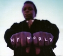 Image du média "MY WORLD de Lee FIELDS"