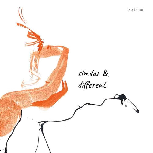 Couverture SIMILAR & DIFFERENT de DAL:UM