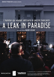 Image du média "A LEAK IN PARADISE de David LELOUP"