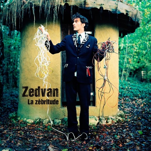 Couverture LA ZÉBRITUDE de ZEDVAN