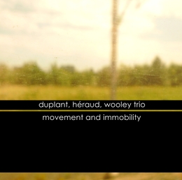 Image du média "MOVEMENT AND IMMOBILITY de Bruno DUPLANT/JULIEN HÉRAUD/NATE WOOLEY"