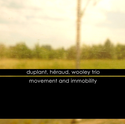 Couverture MOVEMENT AND IMMOBILITY de Bruno DUPLANT/JULIEN HÉRAUD/NATE WOOLEY