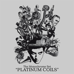 Image du média "THE PLATINUM COILS de THE MONOCHROME SET"