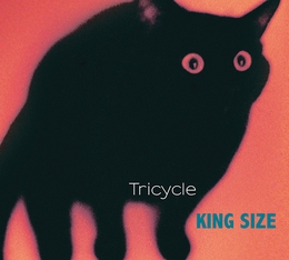 Image du média "KING SIZE de TRICYCLE"