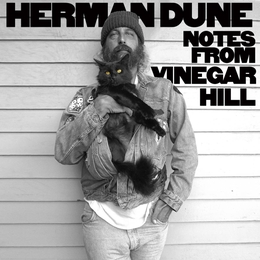 Image du média "NOTES FROM VINEGAR HILL de HERMAN DÜNE"