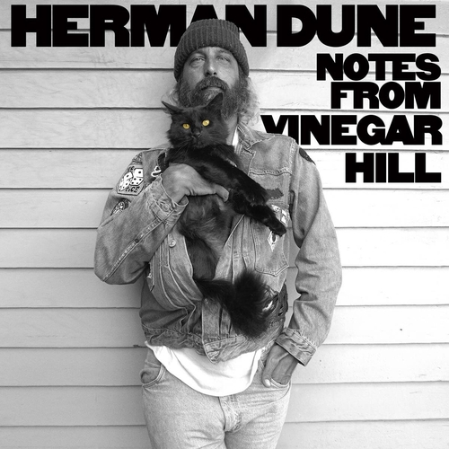 Couverture NOTES FROM VINEGAR HILL de HERMAN DÜNE